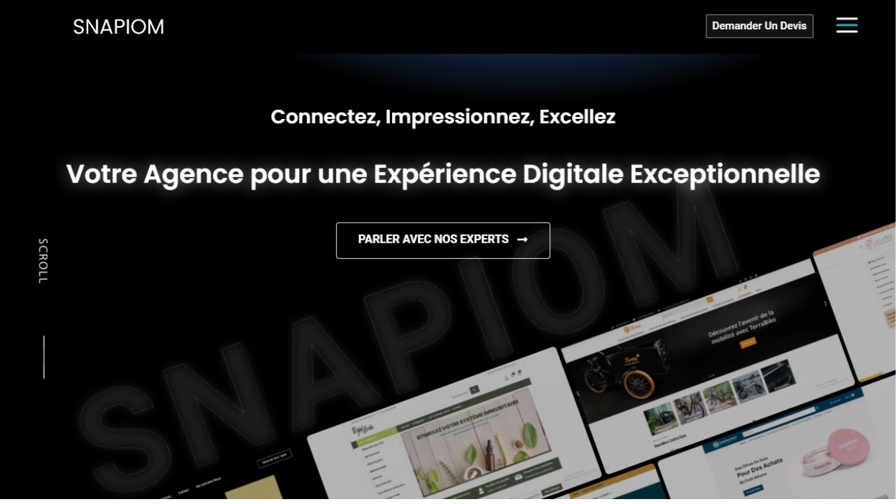 Snapiom Agency Website